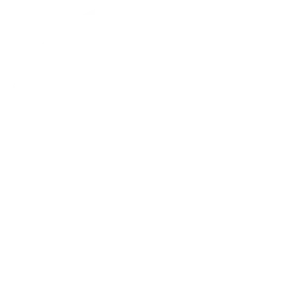 Logo branca